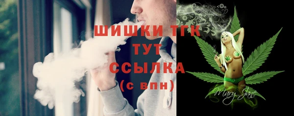 a pvp Горняк