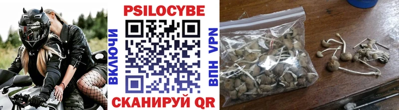 купить наркоту  blacksprut рабочий сайт  Псилоцибиновые грибы ЛСД  Михайлов 